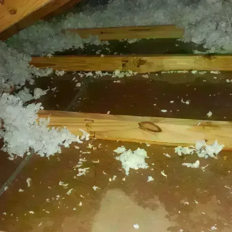 Attic Water Damage in Pryor Creek, OK